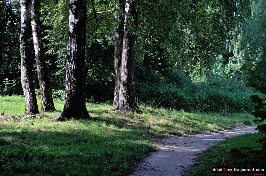 усадьба Лукино-Варино