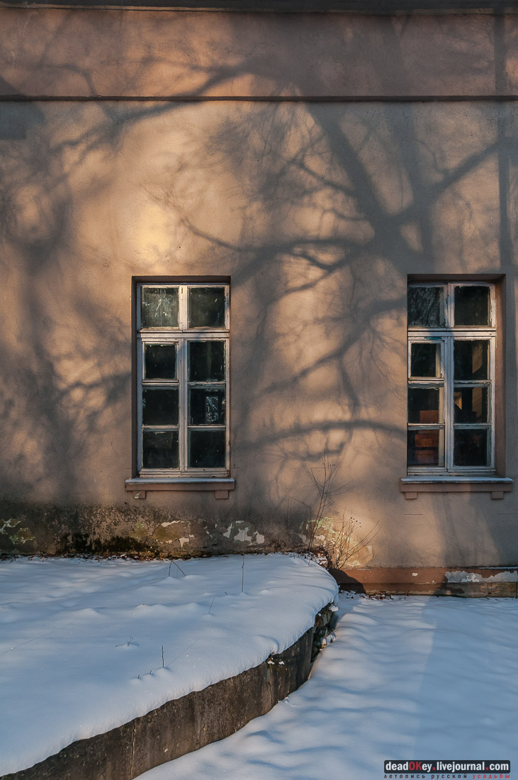 усадьба Васькино