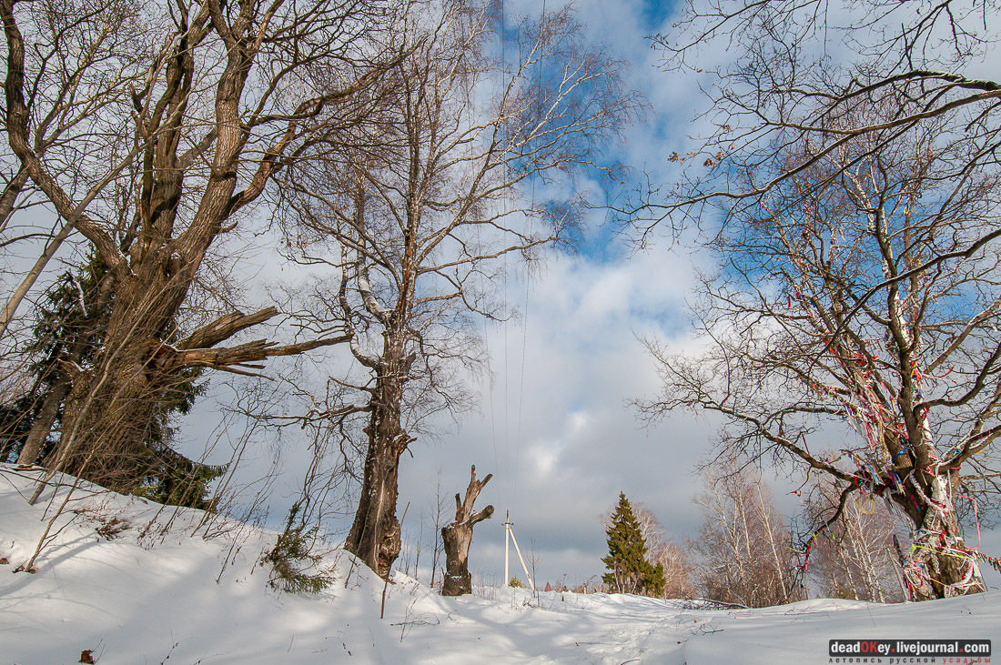 усадьба Ольгово, съемки телеканала Россия-1 для передачи Вести