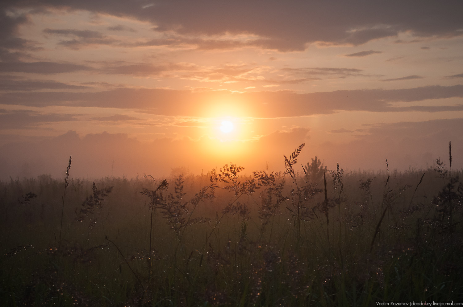 Закат, туман, Стромынь