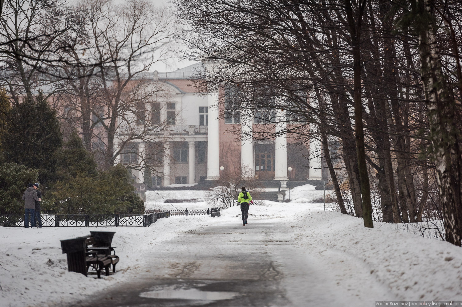 Ботанический сад, фондовая оранжерея, Экоэлектричка, борщевик