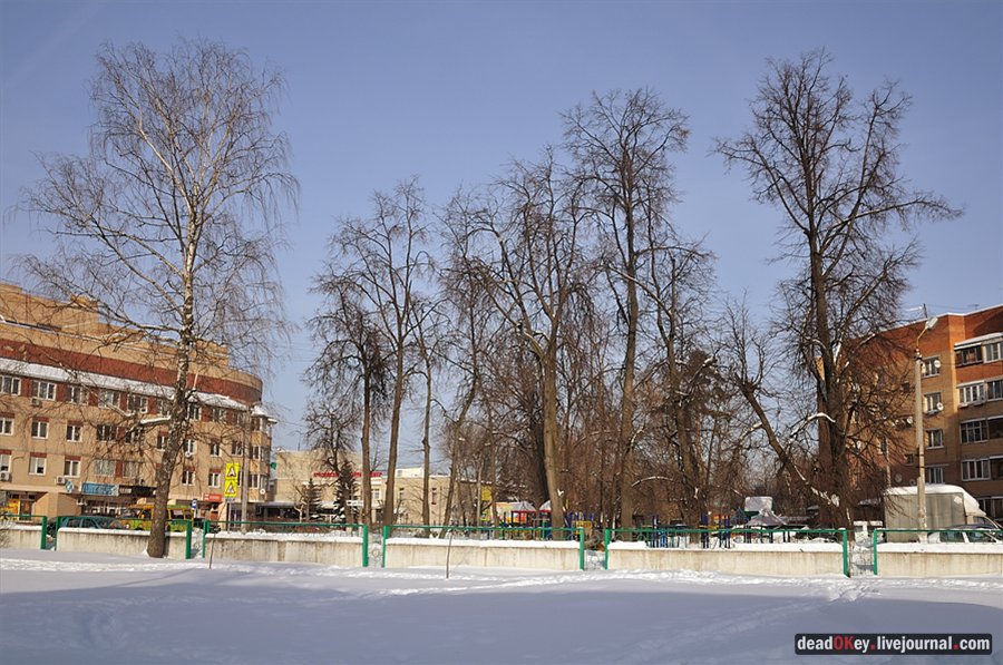 усадьба Коренево