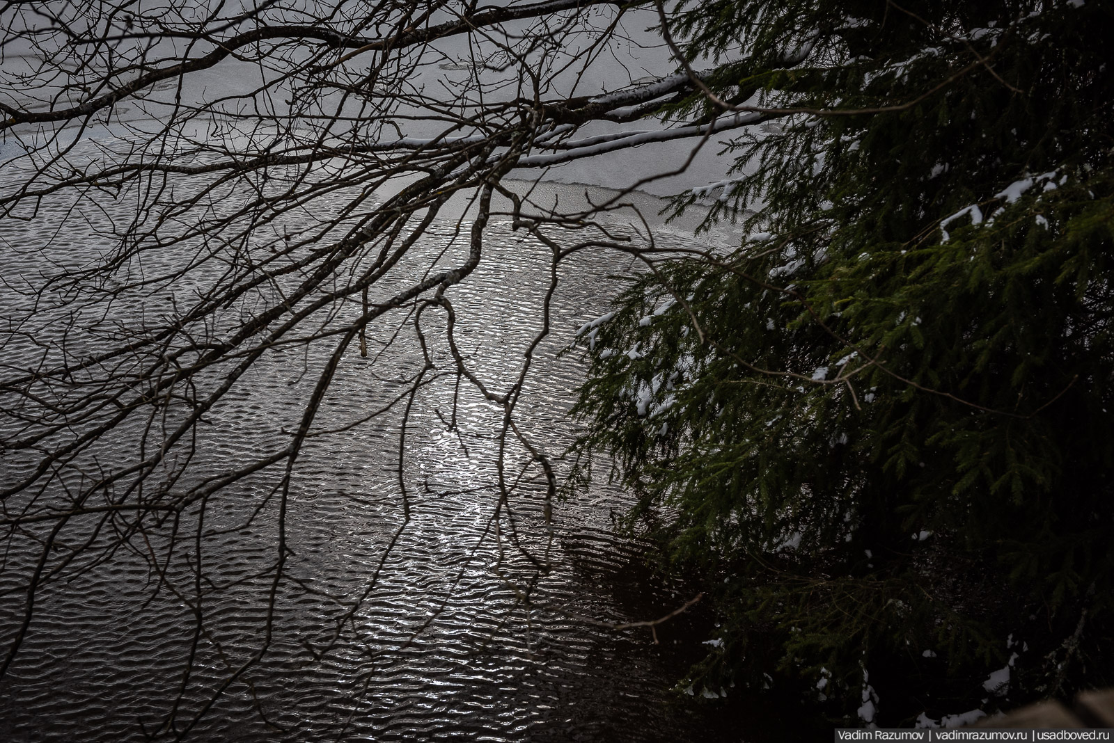 усадьба Абрамцево, 2020 год, зима, последний снег