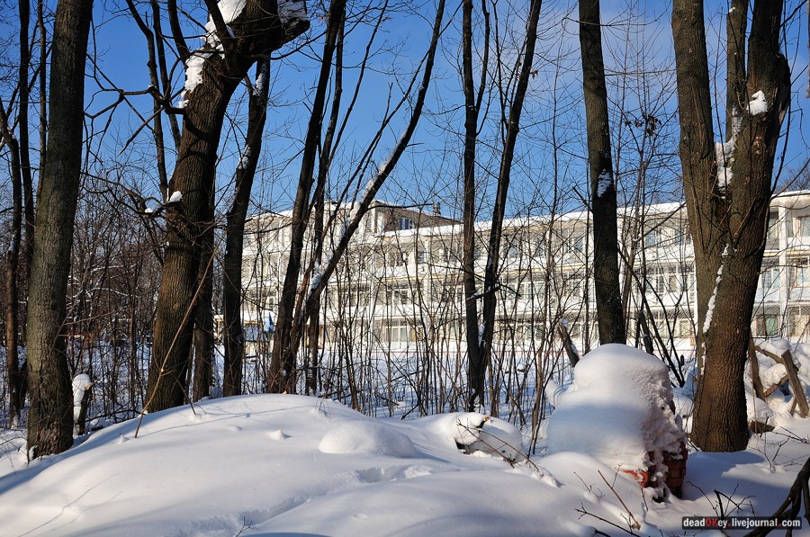 усадьба Лукино