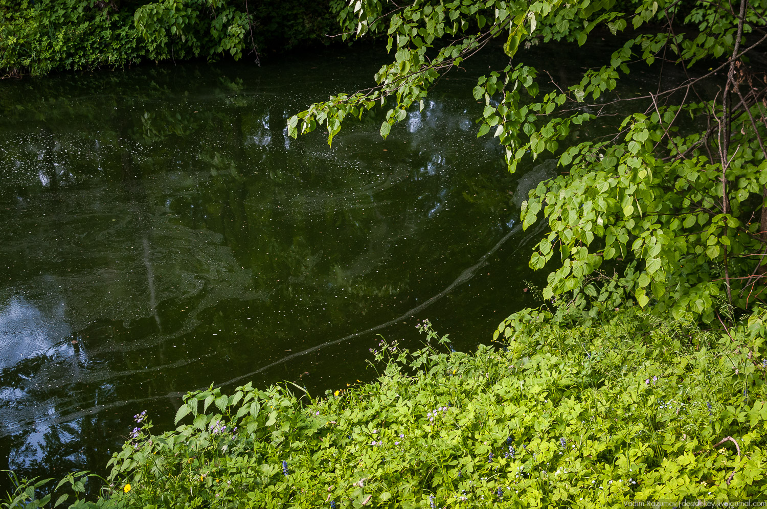 усадьба Валуево в мае