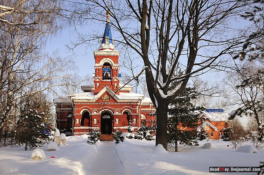 усадьба Осеченки