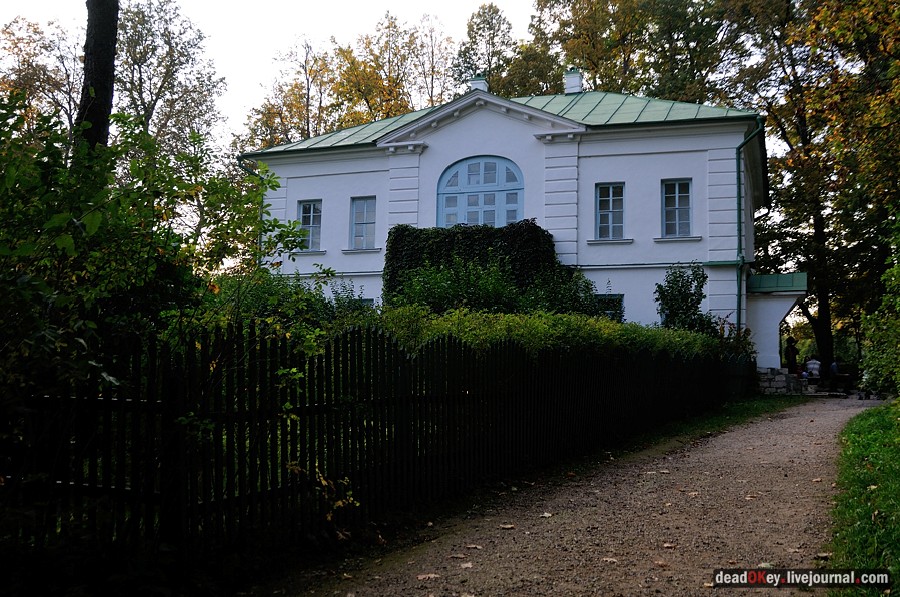 усадьба Ясная Поляна