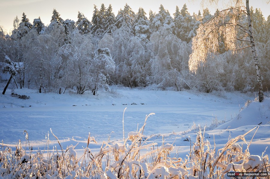 усадьба Полушкино