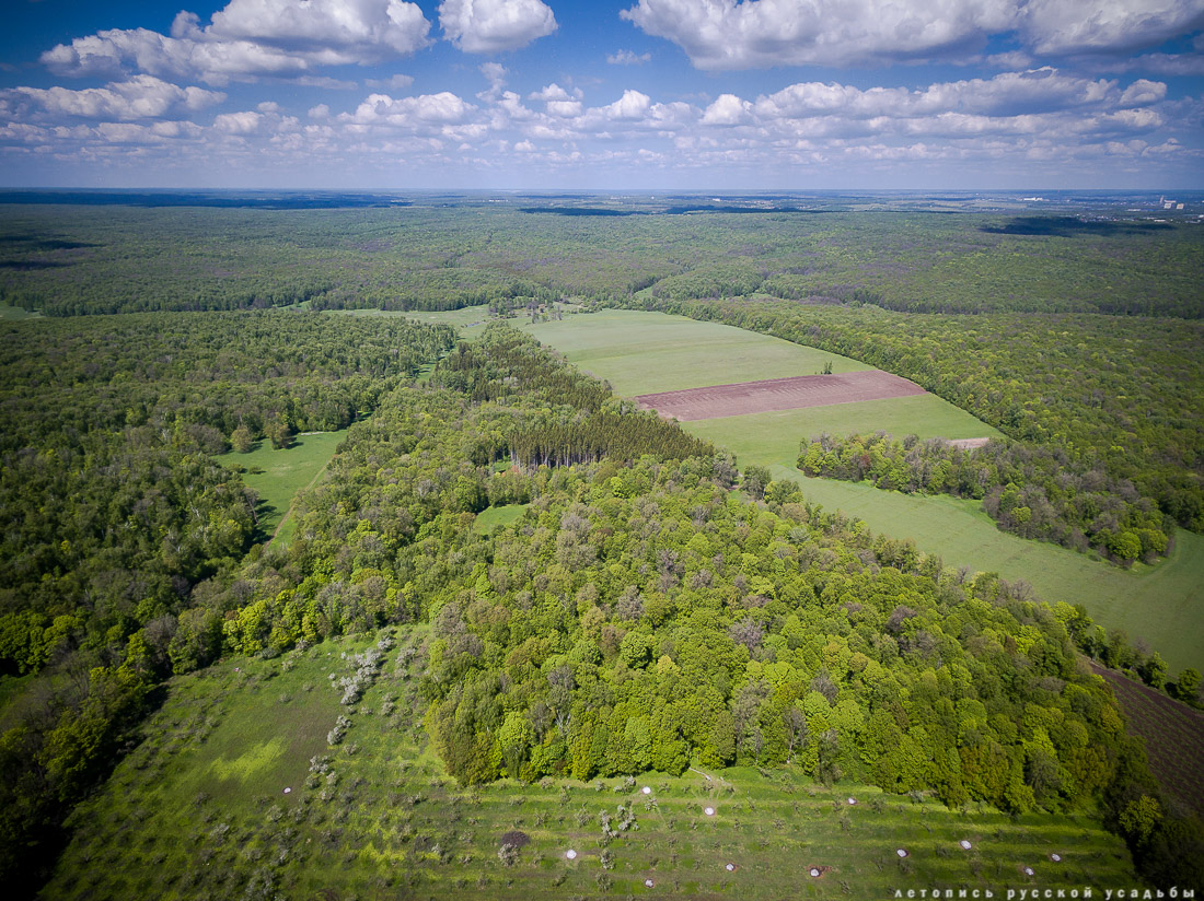 В гости с дроном к Л.Н. Толстому в усадьбу Ясная Поляна, Тульская область, Щекинский район, дер. Ясная Поляна