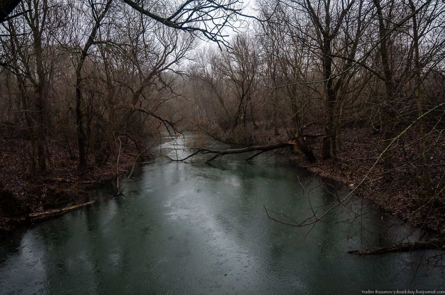 усадьба Пальна-Михайловка, аудиогид по усадбе, фото Вадим Разумов