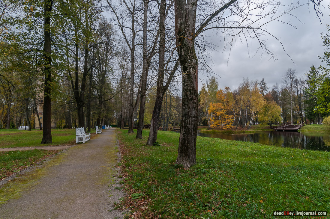 Усадьба Покровское-Рубцово
