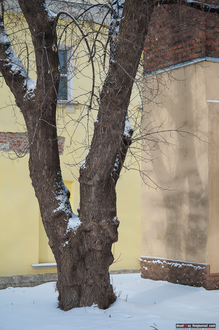 усадьба Разумовского на Гороховом поле (г. Москва, ул. Казакова, д.18)