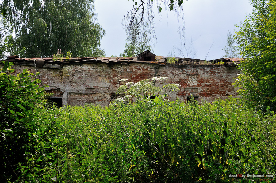 усадьба Матыра