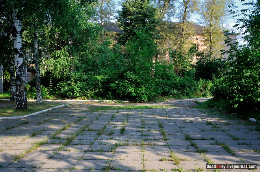 усадьба Долгое Ледово