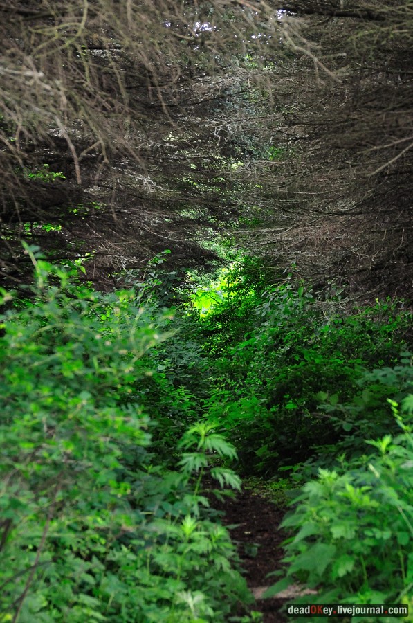 усадьба Гребнево
