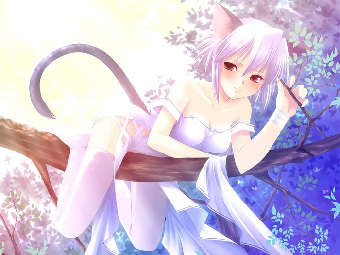  (700x525, 84Kb)