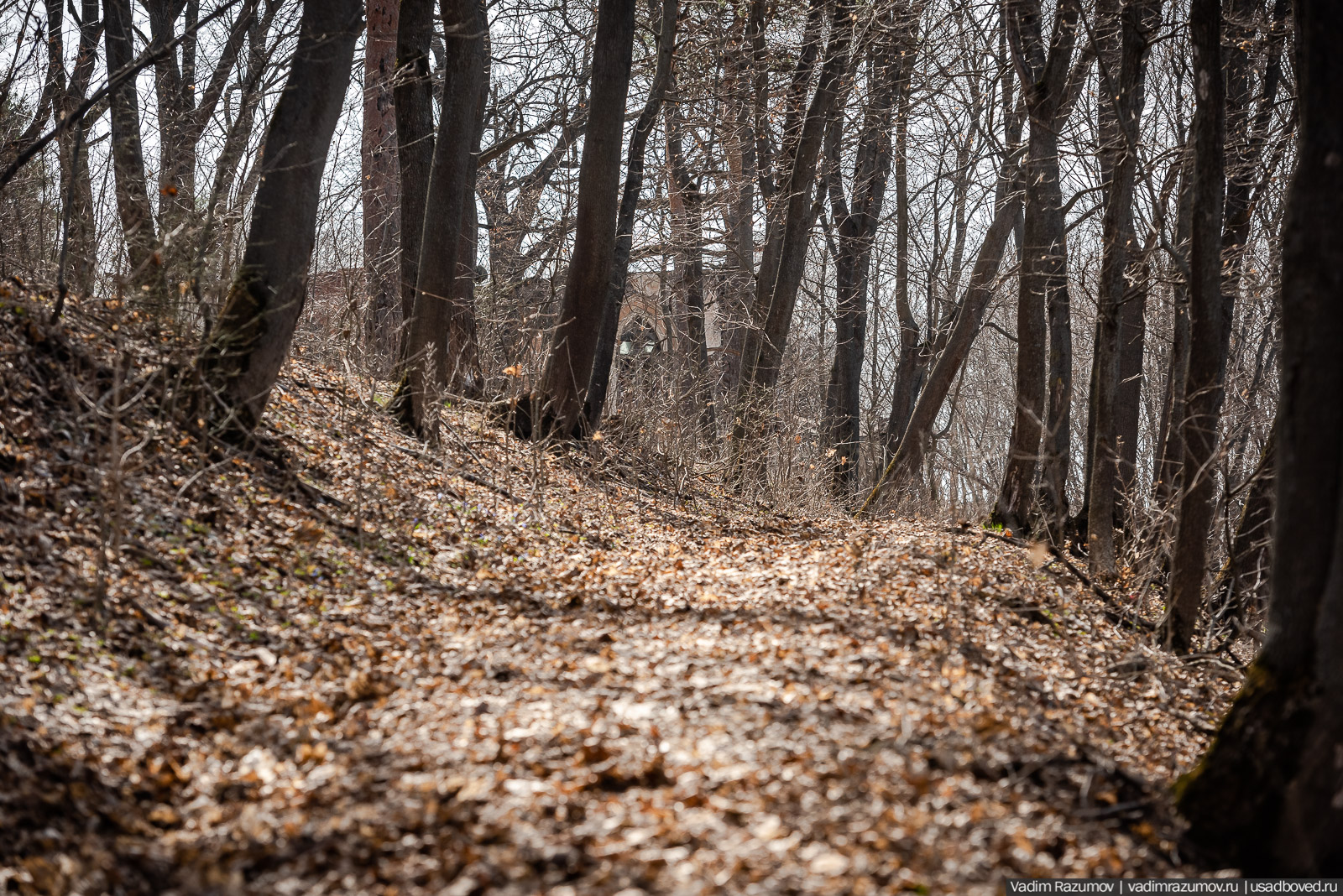усадьба Шаталовка весной 2021 года, Липецкая область, Елец