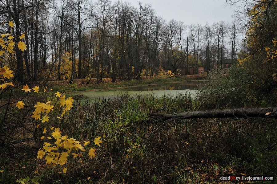 усадьба Жуково