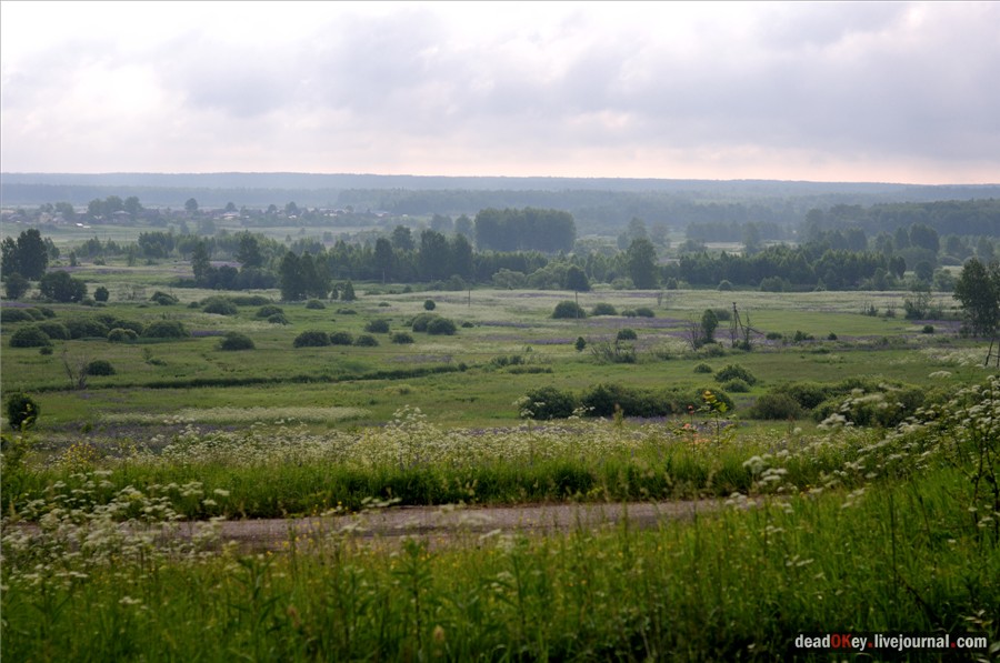 усадьба Кудрявцево