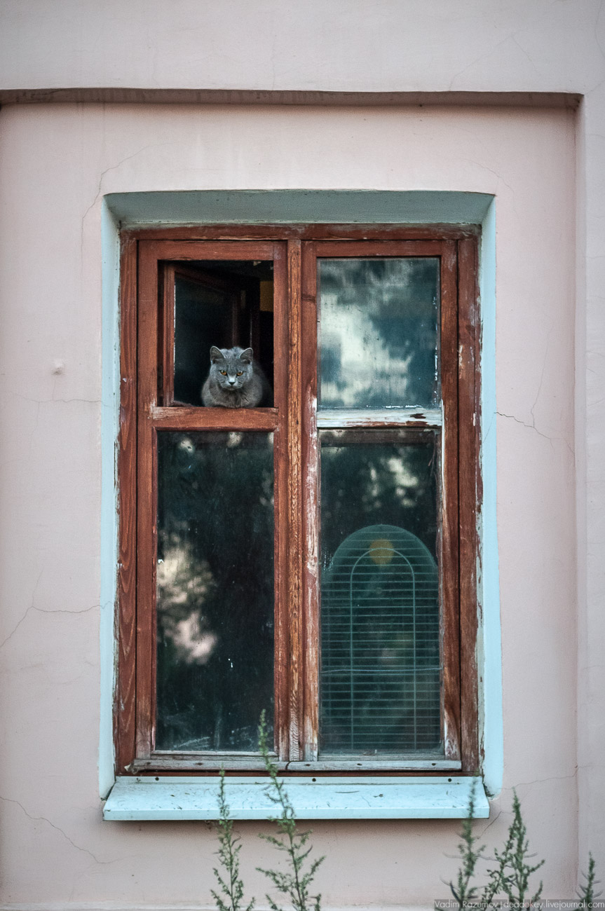 Липецкая область, аудиогид по городу Елец