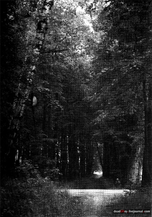 усадьба Мещерское