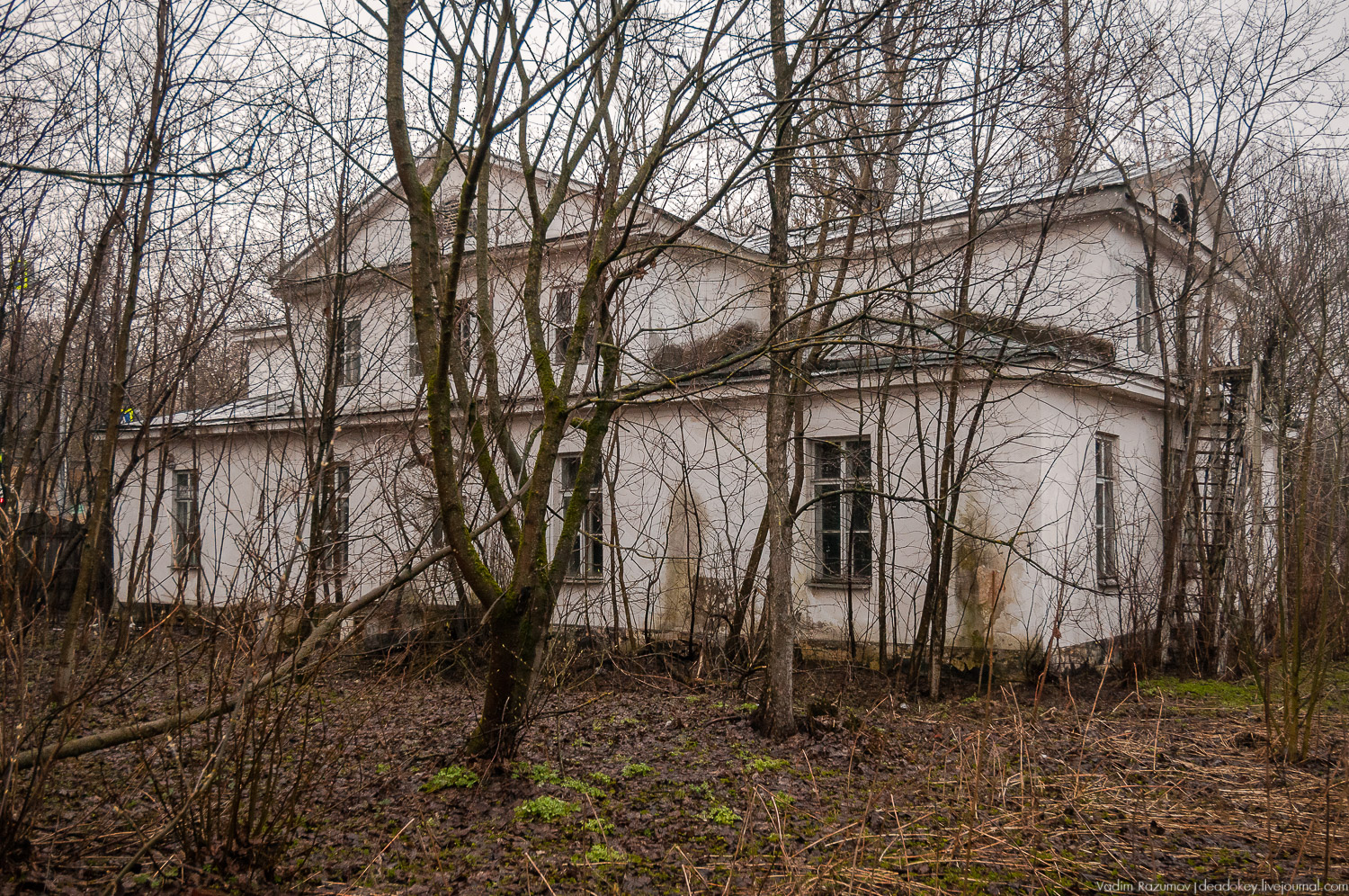 усадьба Петрово (Дурнево, Петрово-Дальнее), Красногорский район, Московская область