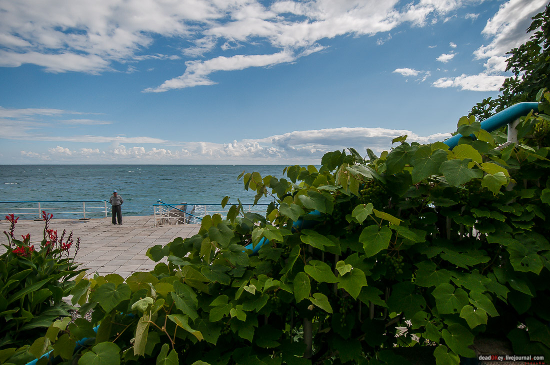 усадьба дворец Дюльбер великого князя Петра Николаевича