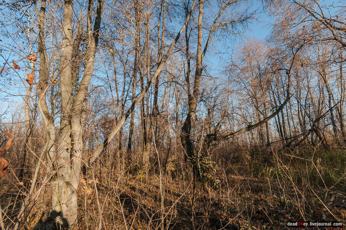 Скорняково-Архангельское