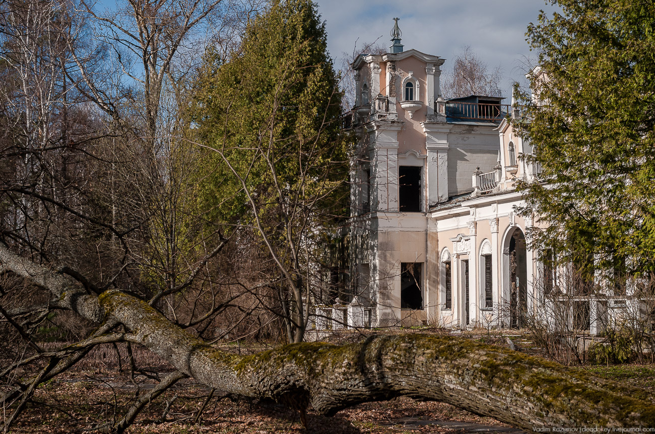 Летопись русской усадьбы. Усадьбы 2017 года