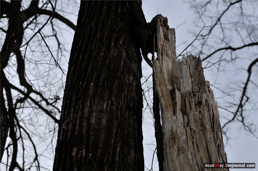 усадьба Ельдигино