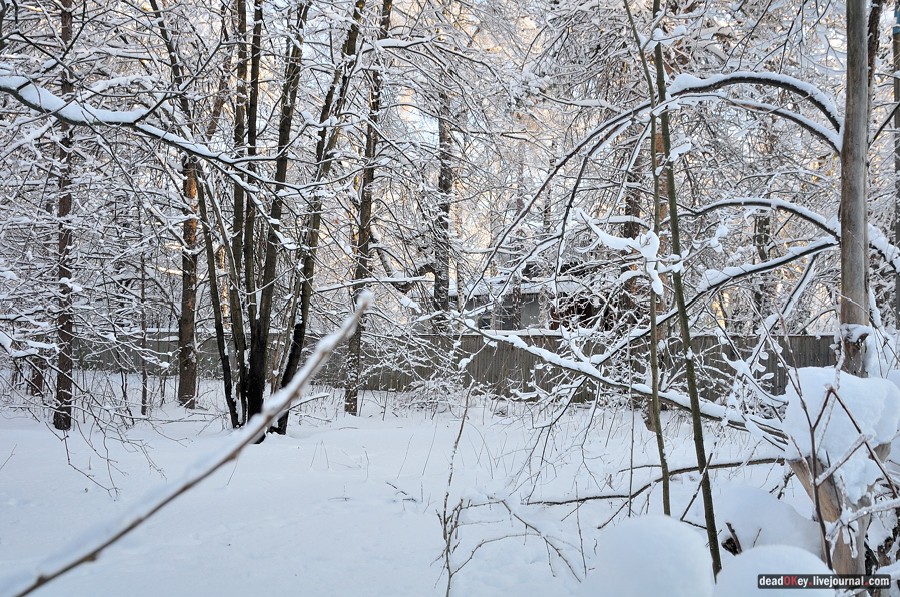 усадьба Полушкино