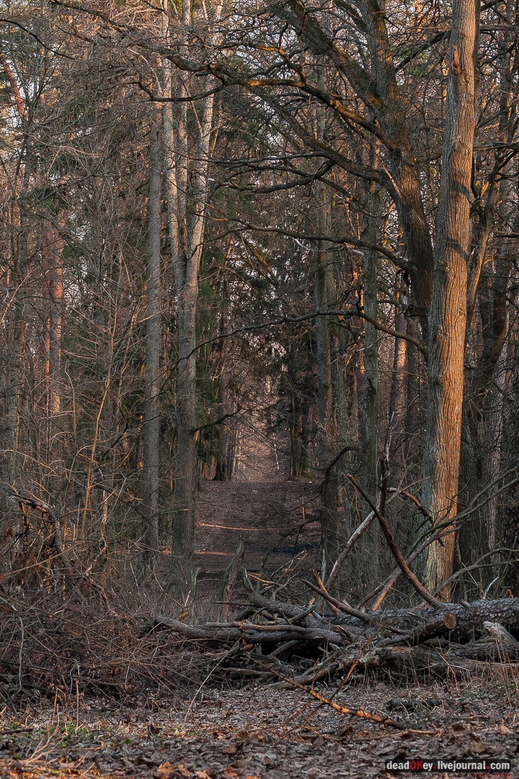 усадьба Никольское-Урюпино