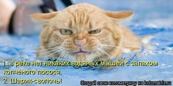 10 (600x300, 111Kb)