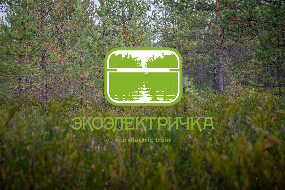 Экоэлектричка на родину журавлей в Талдомский район