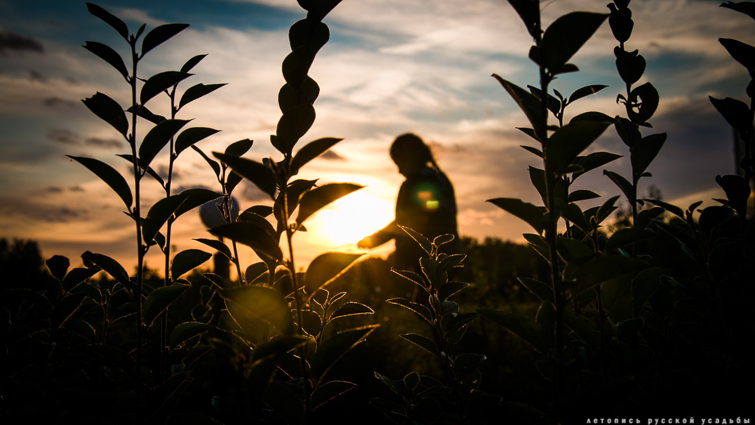 Экоэлектричка на родину журавлей в г. Талдом.