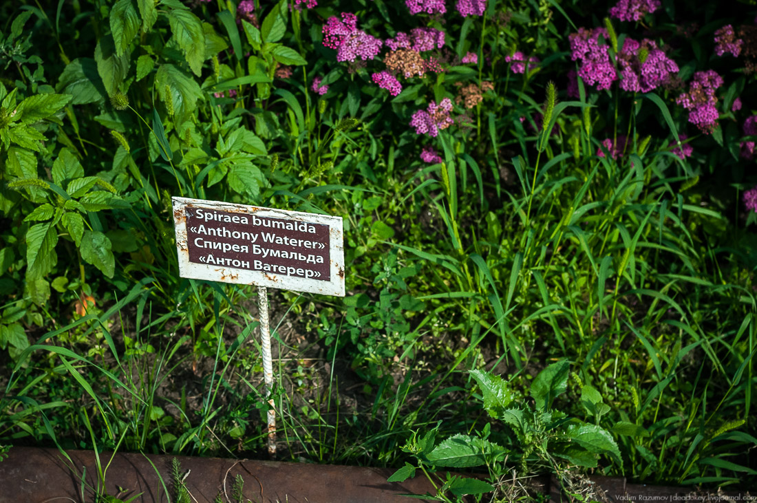 усадьба Барсуково