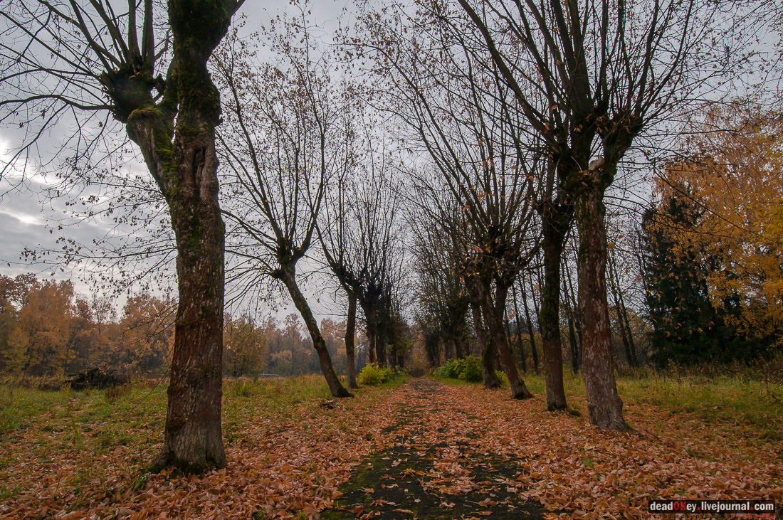 усадьба булочника Филиппова (пос. Спортбаза), Подольский район, Перемышль Московский