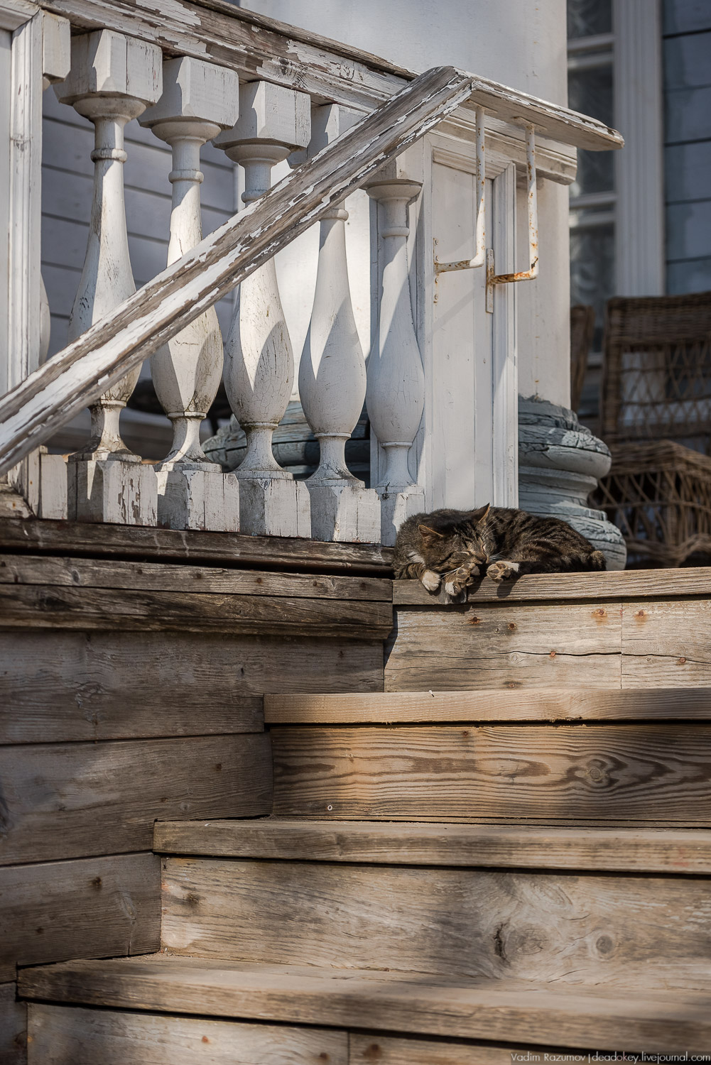 усадьба Рождествено с дрона, Ленинградская область