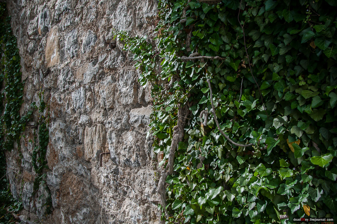 усадьба дворец Дюльбер великого князя Петра Николаевича