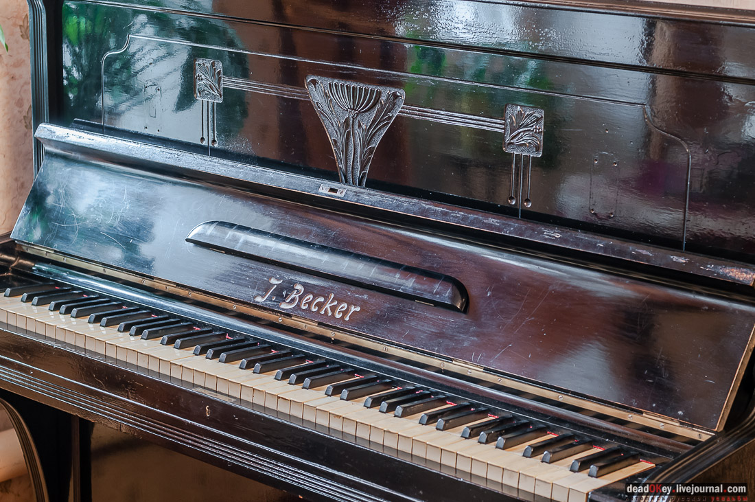 Усадьба Голицыных, г. Мичуринк