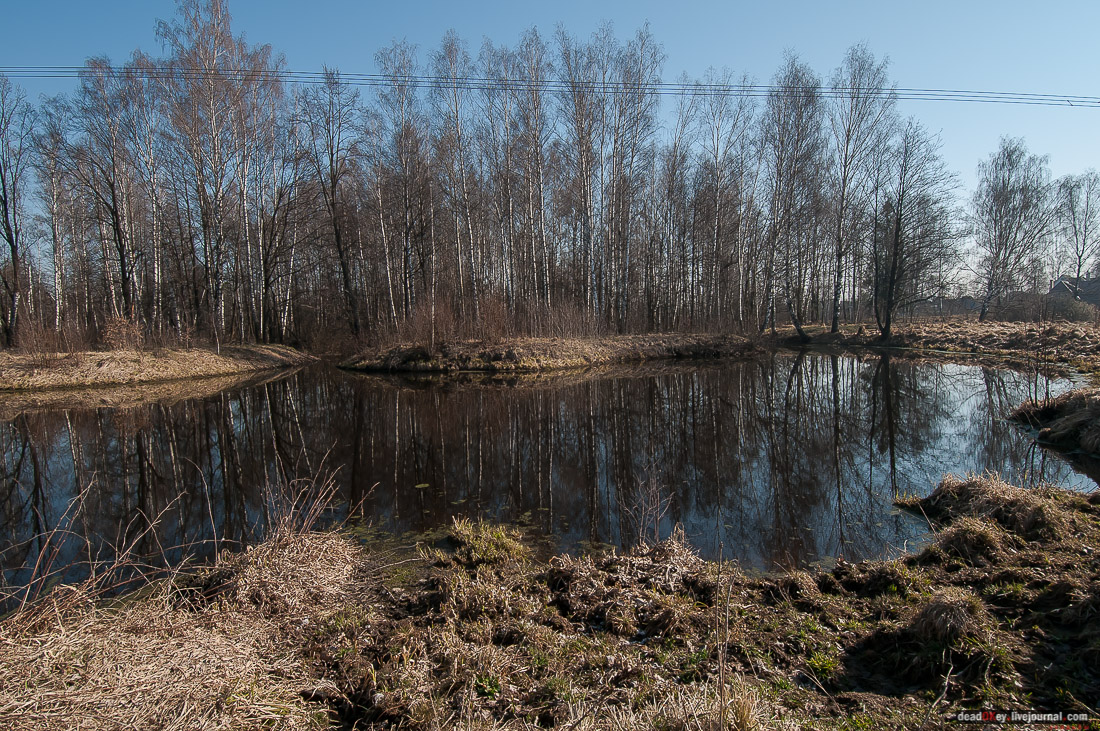 усадьба Савинское (исследование масонского парка)