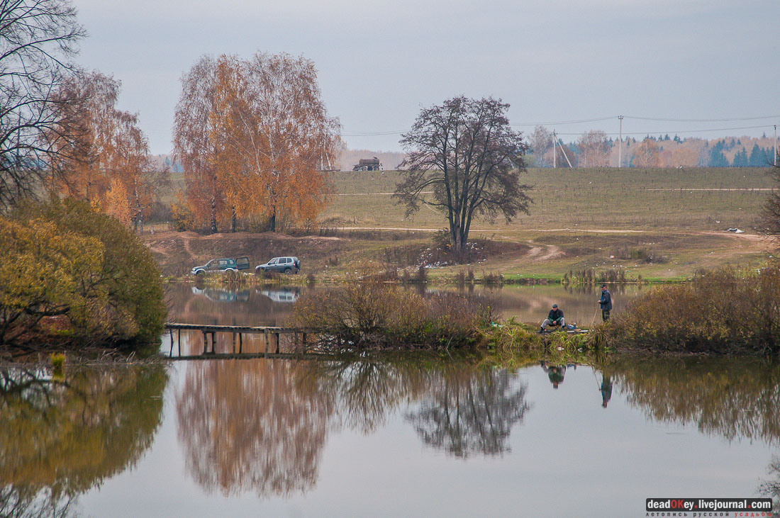 Усадьба Молоди