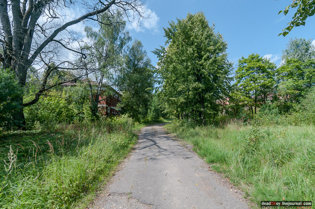 Фабрика Ягужинского, Павловская Слобода, пожар