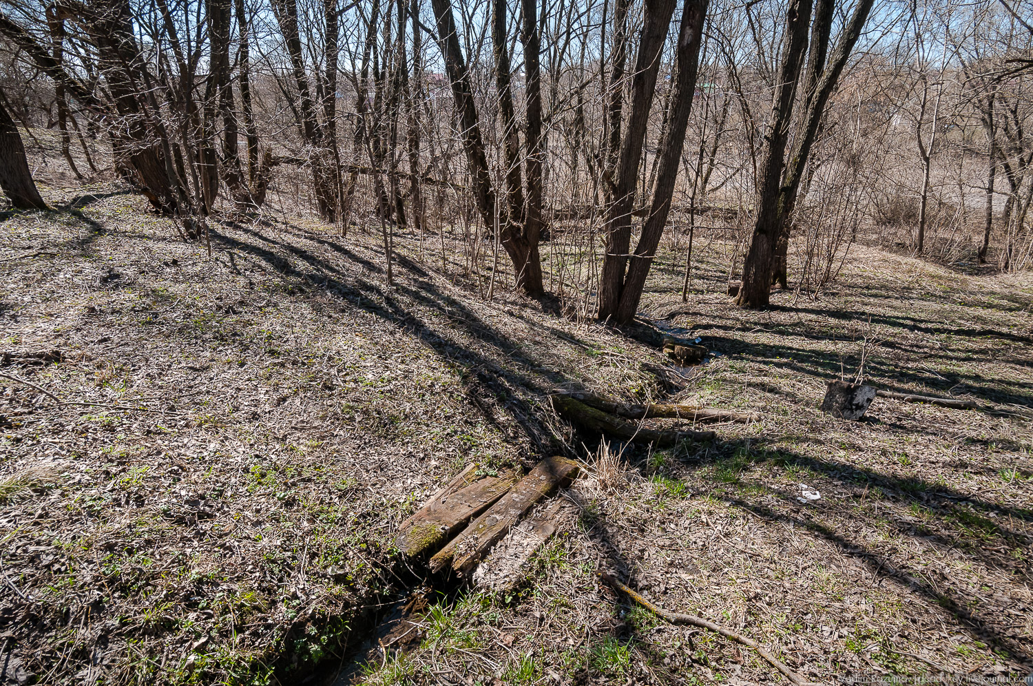 Богородицк, Церерина роща