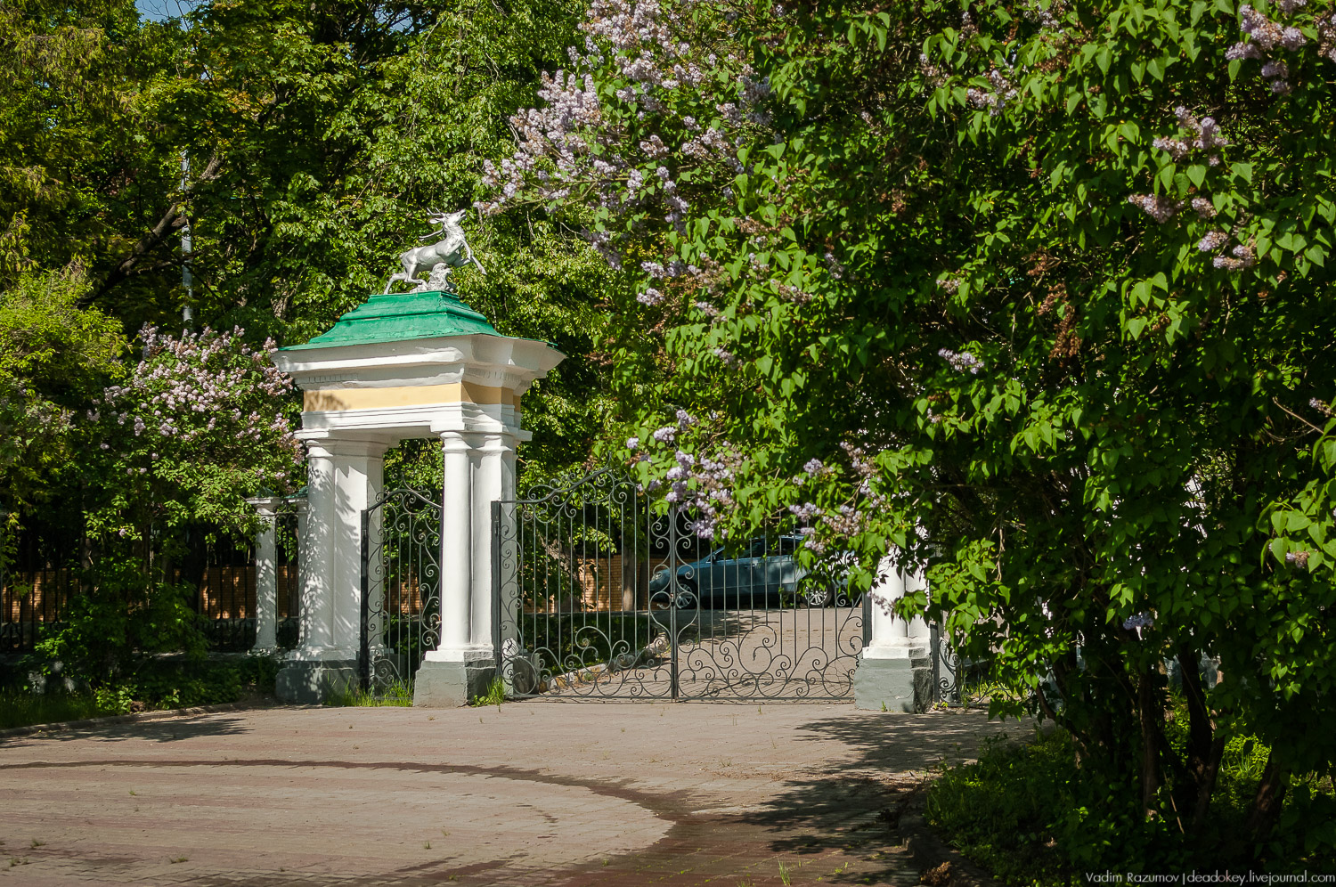 усадьба Валуево в мае