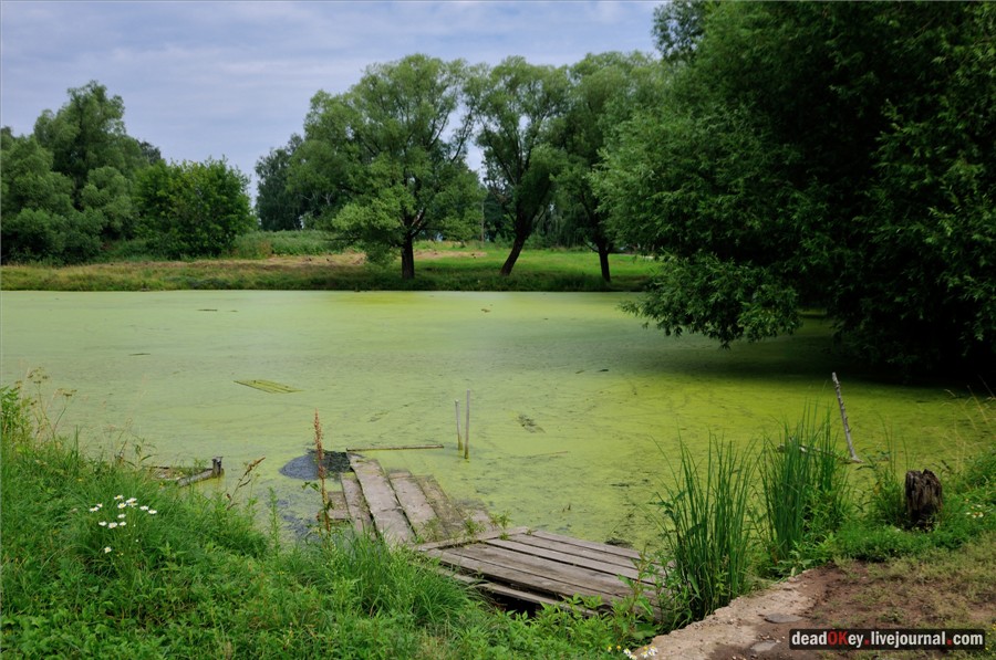 усадьба Сушково