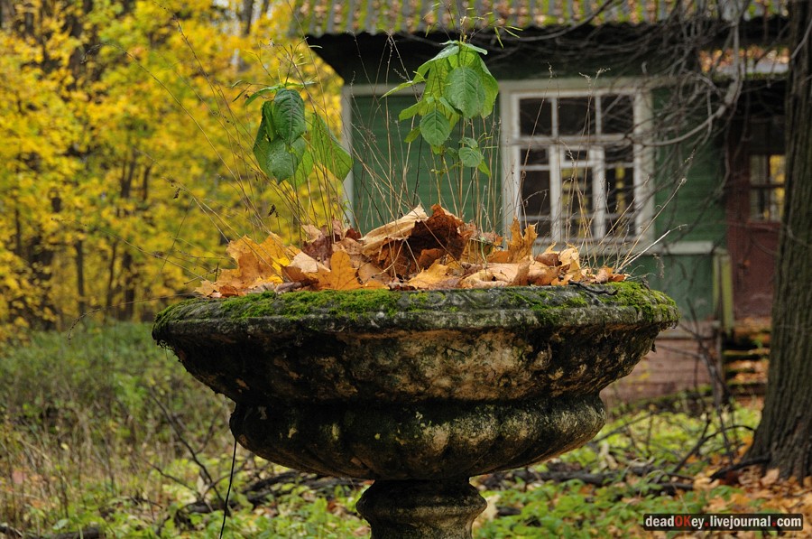 усадьба Жуково