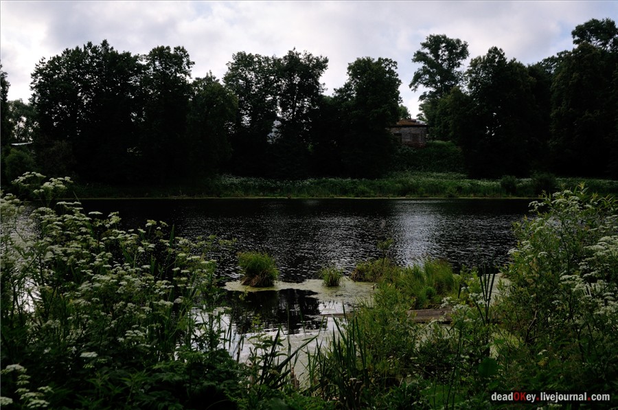 усадьба Завалино