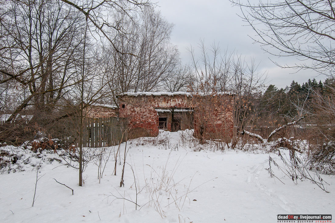 усадьба Гребнево, больничный комплекс