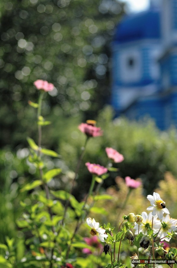 усадьба Хомяково